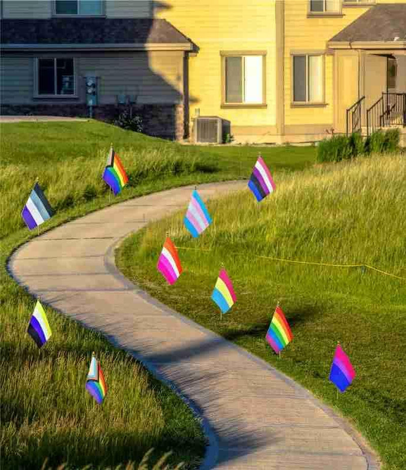 Pride Rainbow Small Stick Flag All Mini Hand Held LGBTQ Flags,20 Pack,5X8 Inch