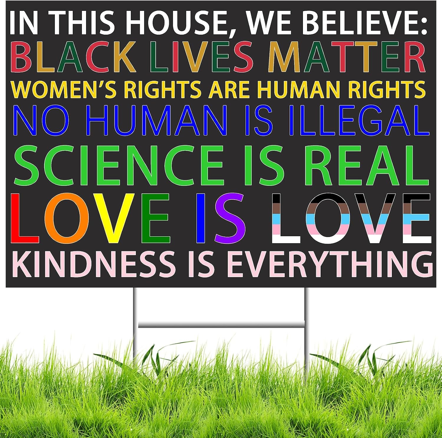 No Kings Yard Sign Protest Signs against 47Th President in This House We Believe Yard Sign,Black Lives Matter Resist-Racism Against-Fascism Democracy Protest Sign with H-Stake Metal 18X12Inches