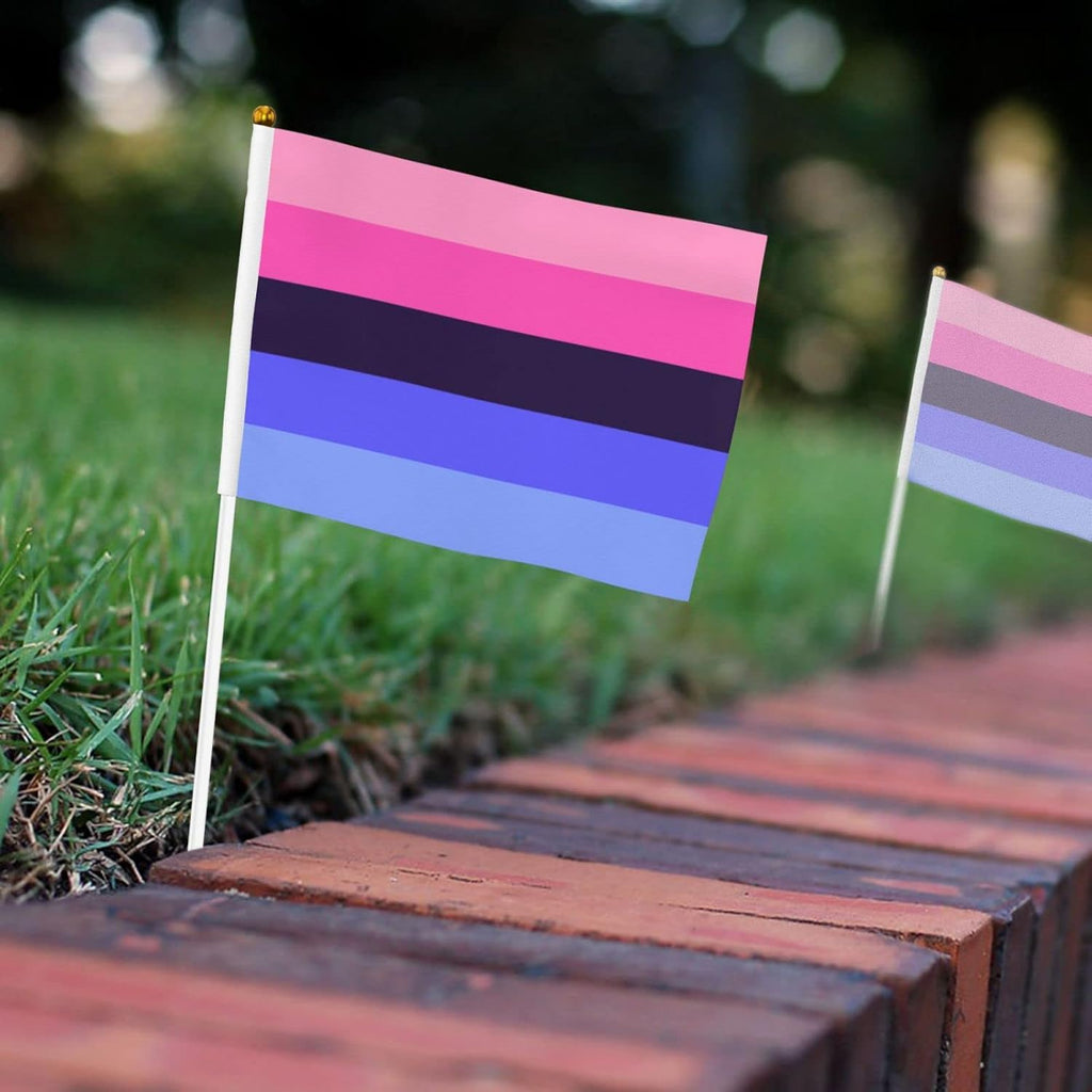 Lgbtq Omnisexual Pride Small Mini Flags Hand Held Flag Decoration for Party Parades Festival Celebration 10 PC