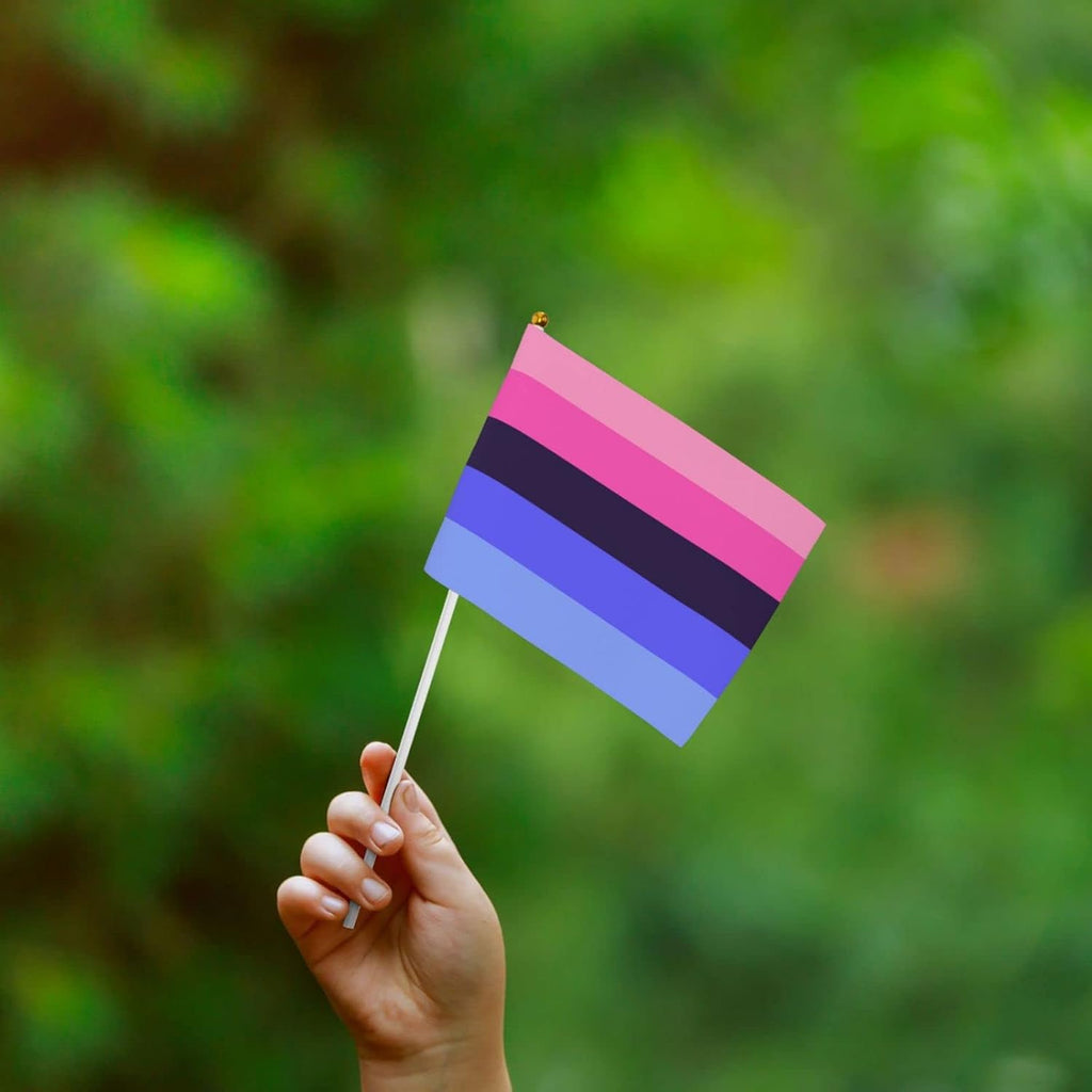 Lgbtq Omnisexual Pride Small Mini Flags Hand Held Flag Decoration for Party Parades Festival Celebration 10 PC