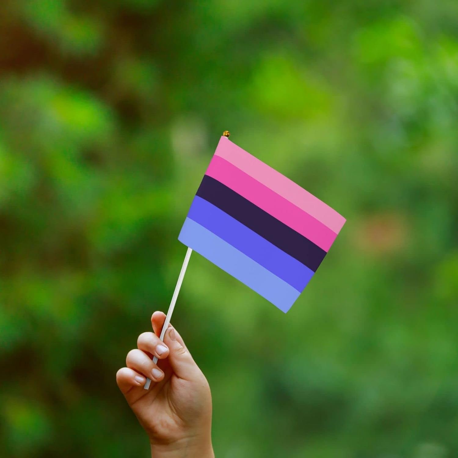 Lgbtq Omnisexual Pride Small Mini Flags Hand Held Flag Decoration for Party Parades Festival Celebration 10 PC