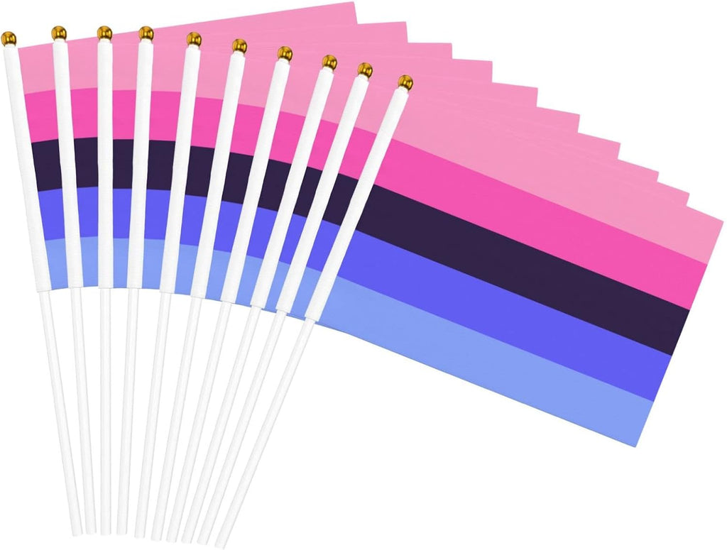 Lgbtq Omnisexual Pride Small Mini Flags Hand Held Flag Decoration for Party Parades Festival Celebration 10 PC